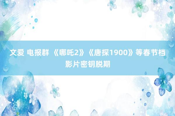 文爱 电报群 《哪吒2》《唐探1900》等春节档影片密钥脱期