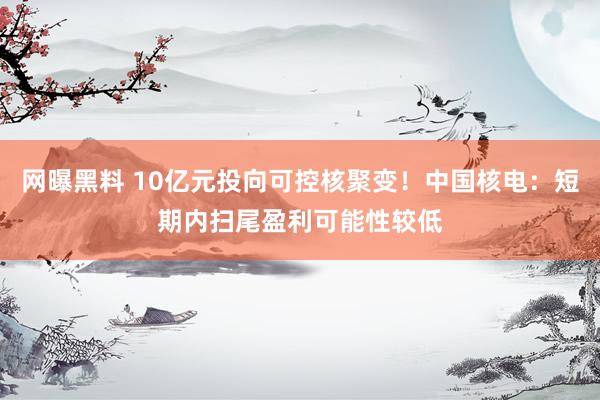 网曝黑料 10亿元投向可控核聚变！中国核电：短期内扫尾盈利可能性较低