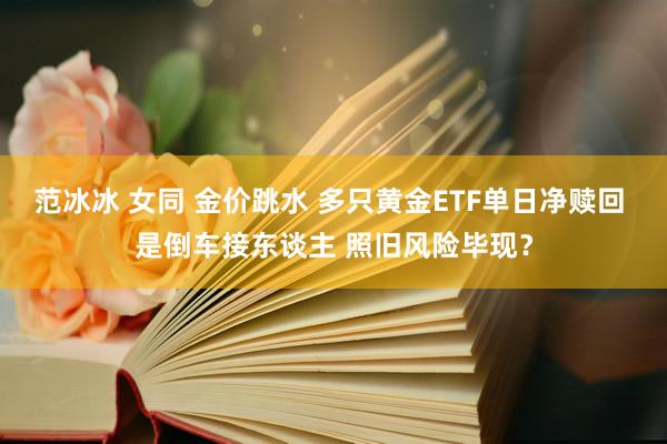 范冰冰 女同 金价跳水 多只黄金ETF单日净赎回 是倒车接东谈主 照旧风险毕现？