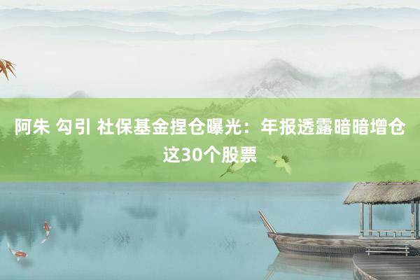 阿朱 勾引 社保基金捏仓曝光：年报透露暗暗增仓这30个股票
