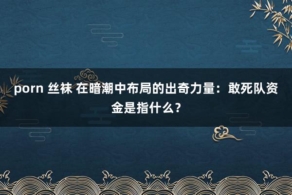 porn 丝袜 在暗潮中布局的出奇力量：敢死队资金是指什么？