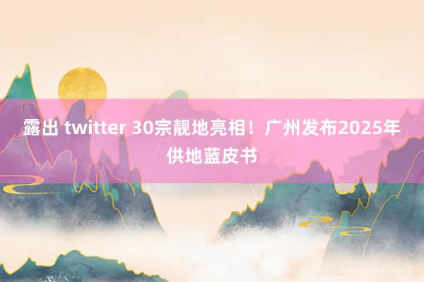 露出 twitter 30宗靓地亮相！广州发布2025年供地蓝皮书