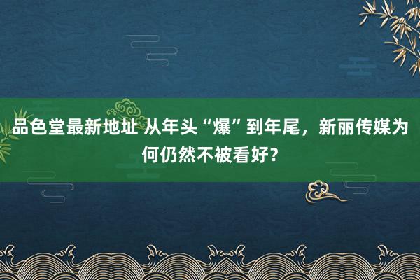 品色堂最新地址 从年头“爆”到年尾，新丽传媒为何仍然不被看好？